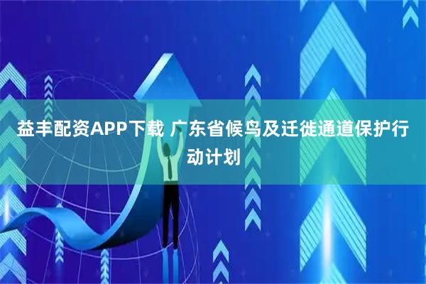 益丰配资APP下载 广东省候鸟及迁徙通道保护行动计划