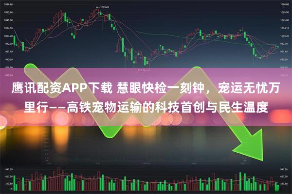鹰讯配资APP下载 慧眼快检一刻钟，宠运无忧万里行——高铁宠物运输的科技首创与民生温度
